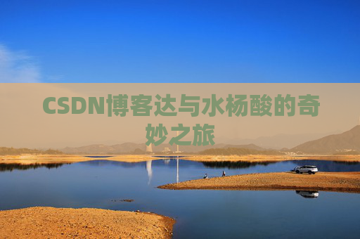 CSDN博客达与水杨酸的奇妙之旅 CSDN博客达与水杨酸的奇妙之旅